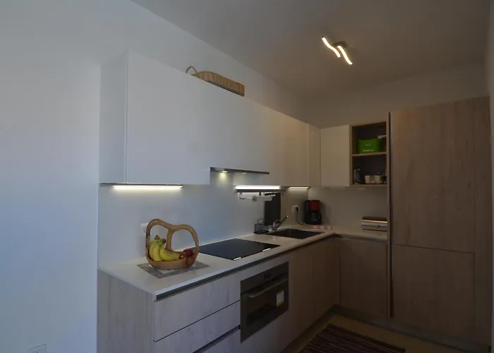 Viola Vizula Medulin